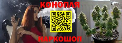 амф Обь
