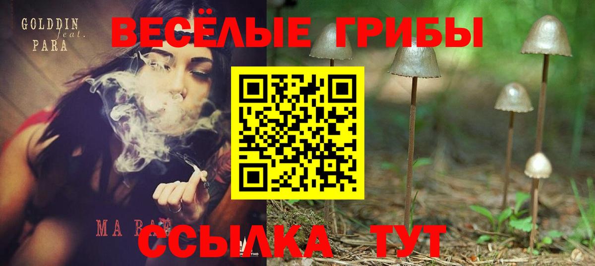 Галлюциногенные грибы Psilocybe  Галлюциногенные грибы мицелий  Вход с VPN  Фрязино 